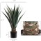 Agave Succulent Plant in Black Pot by Floral Home®, Floral Home by Artificial Flowers